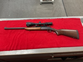 harrington and richardson sb2