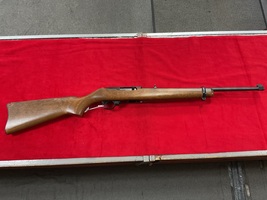 Ruger 10/22
