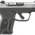 RUGER LCP MAXX
