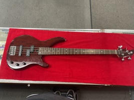 YAmaha TRBX174EW