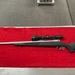 SAVAGE 116