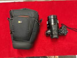 Panasonic Lumix DCM-FZ1000